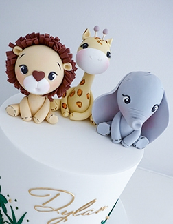 Zoo-Safari Animals Birthday cake